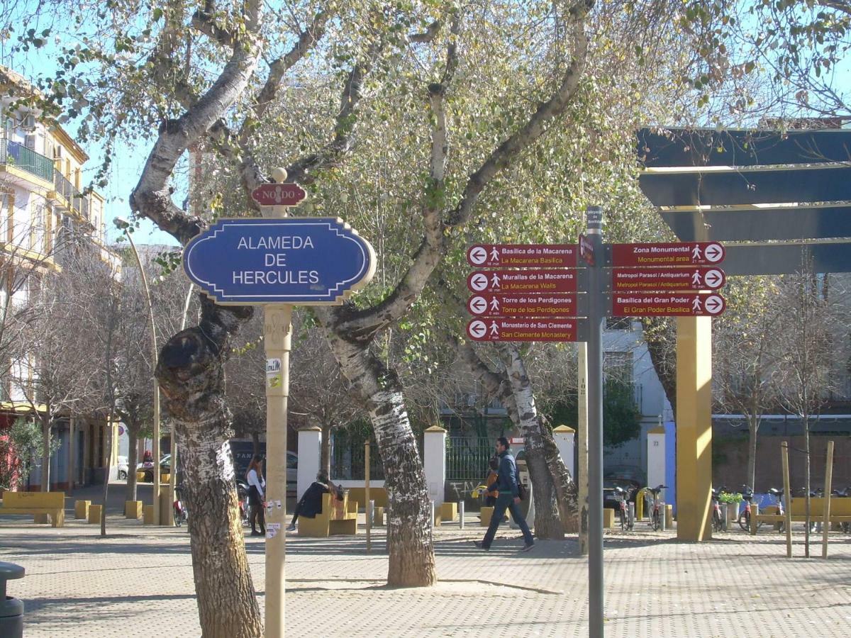 Medina Apartment And Parking Historical Center Sevilla Dış mekan fotoğraf